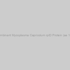 Image of Recombinant Mycoplasma Capricolum rplD Protein (aa 1-208)